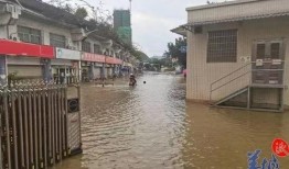 英德洪水爆料视频最新版,视频揭示惊人现场，救援行动紧张进行中