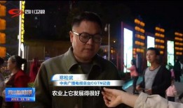 网友爆料内江新闻事件视频,网友爆料视频揭露惊人真相